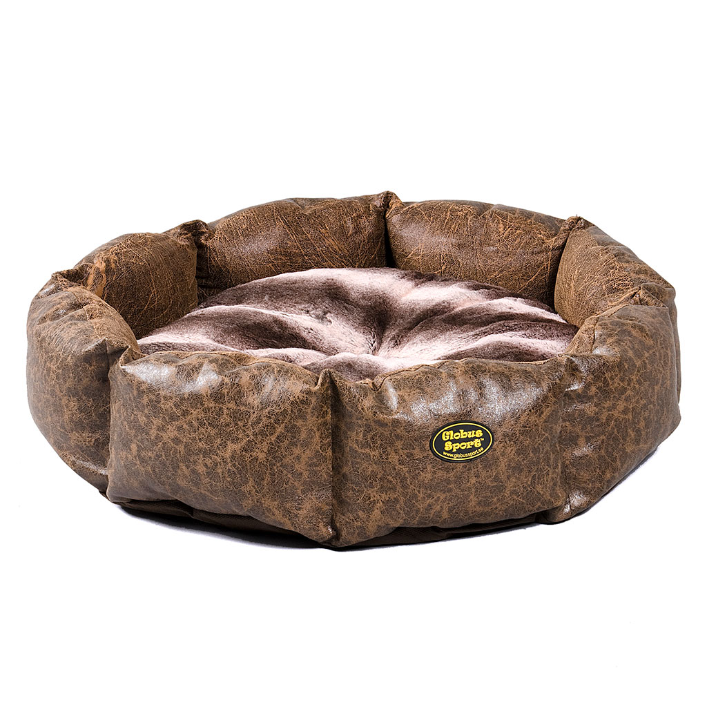 GS pesa koertele Dream, 65 cm - Image 2