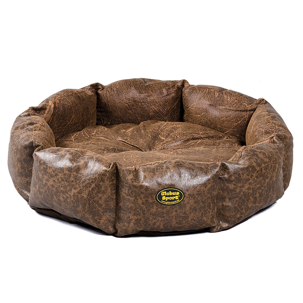 GS pesa koertele Dream, 65 cm