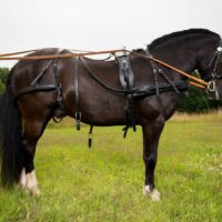 Globus Sport Drago nahast sorirakmed hobusele