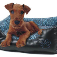 GS pesa koertele Tarzy