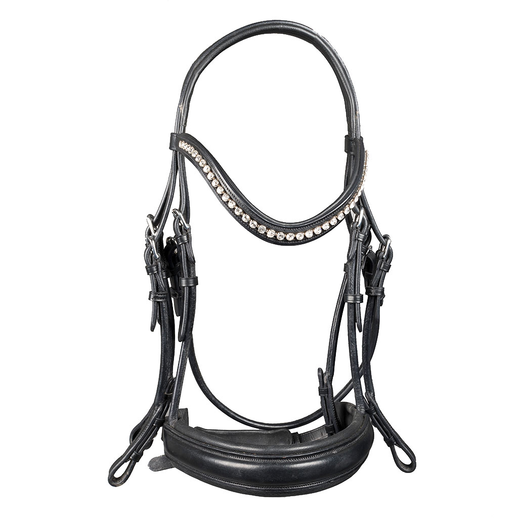 Globus Sport Smaragd koolisõidu valjad hobustele