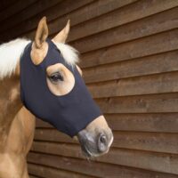 Catago FIR-Tech mask