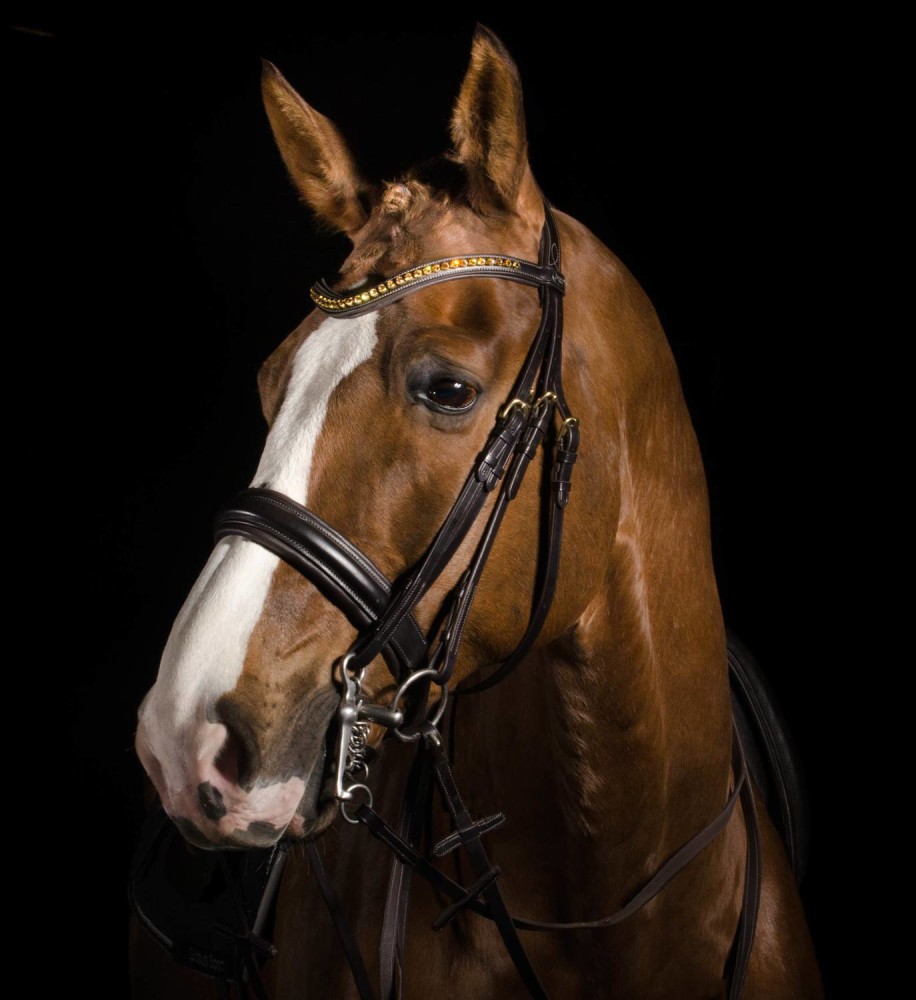 Globus Sport Bonheur valjad