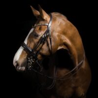 Globus Sport Smaragd valjad