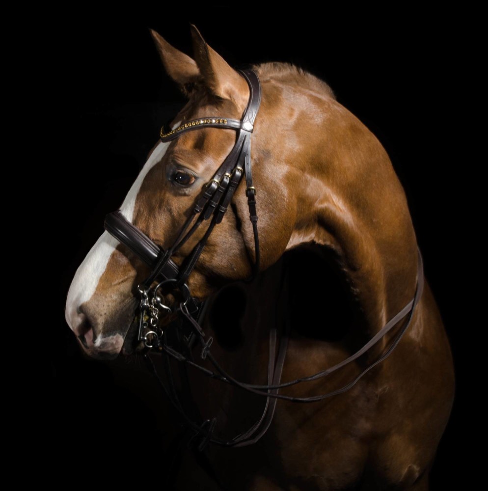 Globus Sport Smaragd valjad