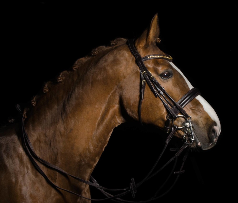 Globus Sport Smaragd valjad