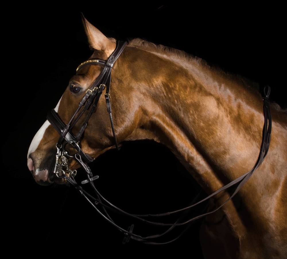 Globus Sport Smaragd valjad