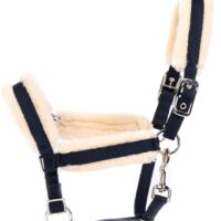 Globus Sport pehmendustega varsapäitsed