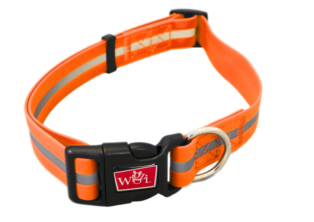 Wigzi veekindel geelkaelarihm