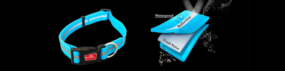 Wigzi veekindel geelkaelarihm