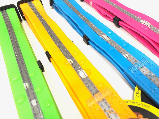 Wigzi veekindel geelkaelarihm