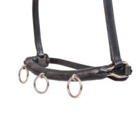 Globus Sport kordepäitsed