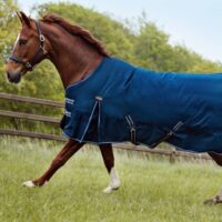 Catago Jason 2.0 õuetekk, 0 gr