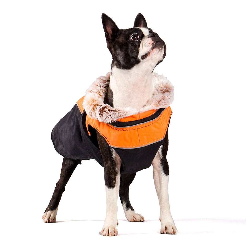 GS soe talvejope koertele - Image 14