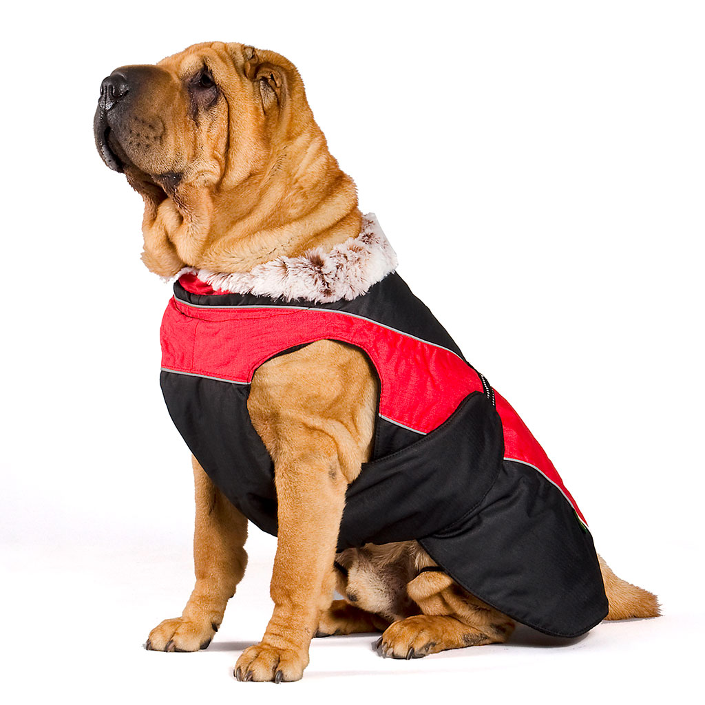 GS soe talvejope koertele - Image 9