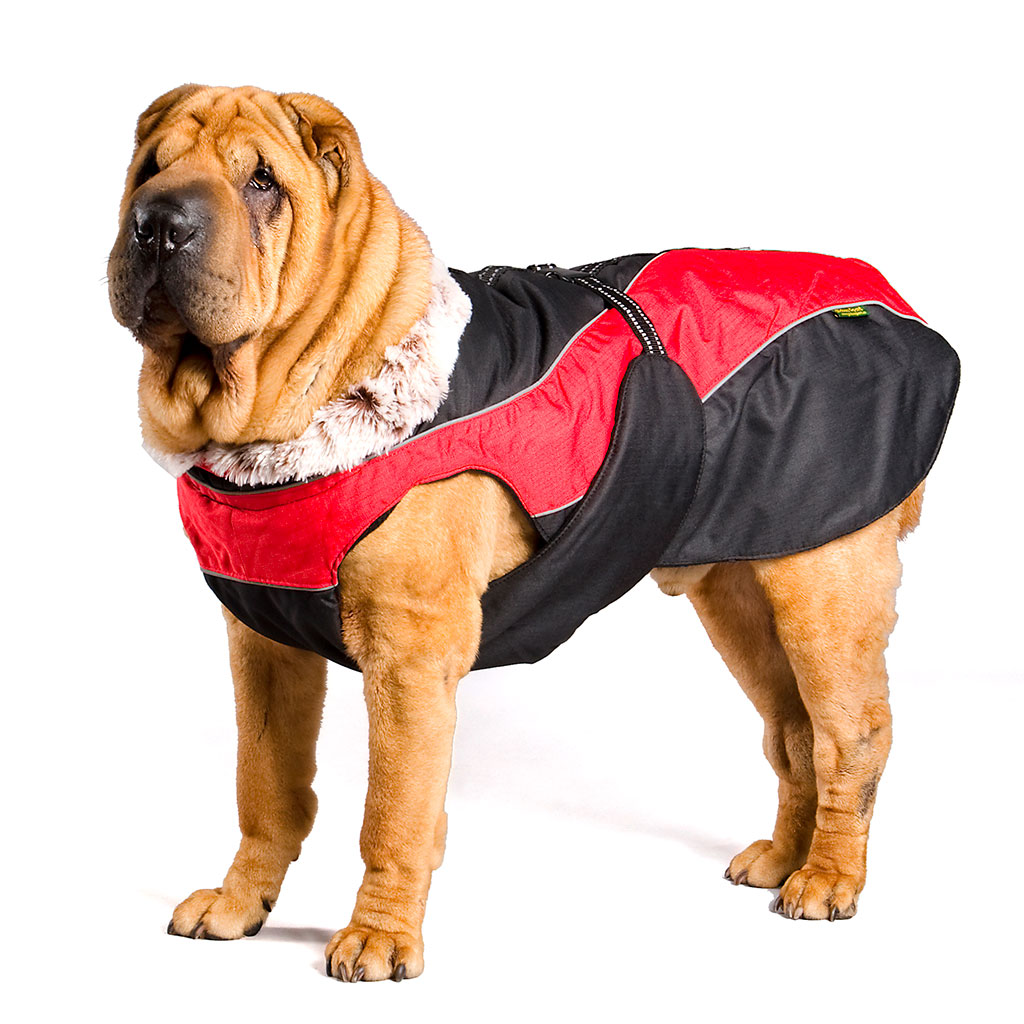 GS soe talvejope koertele - Image 8