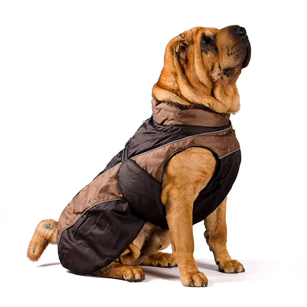 GS soe talvejope koertele - Image 10