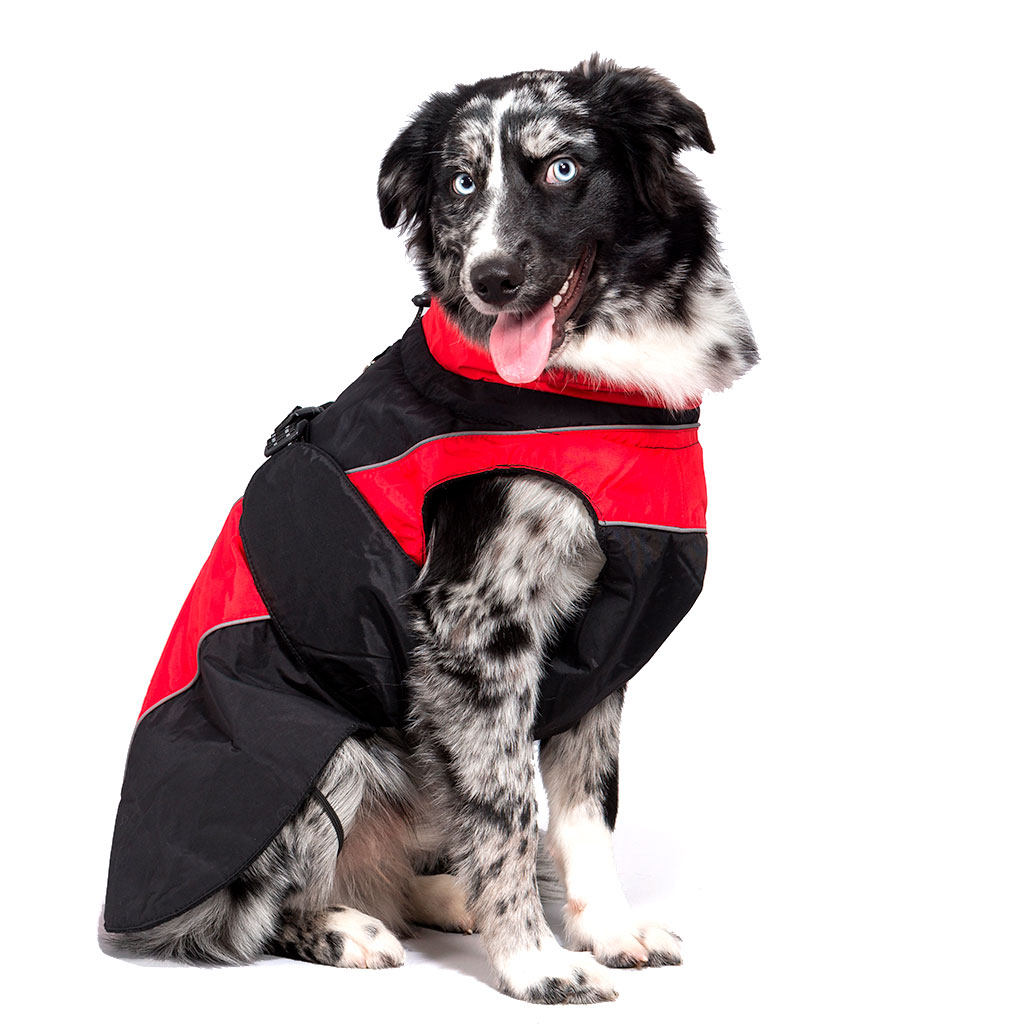 GS soe talvejope koertele - Image 12