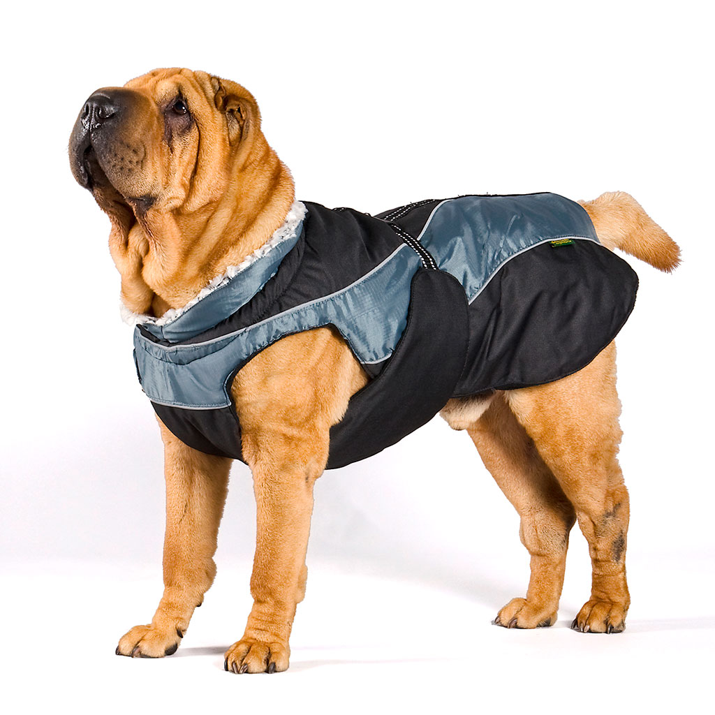 GS soe talvejope koertele - Image 6