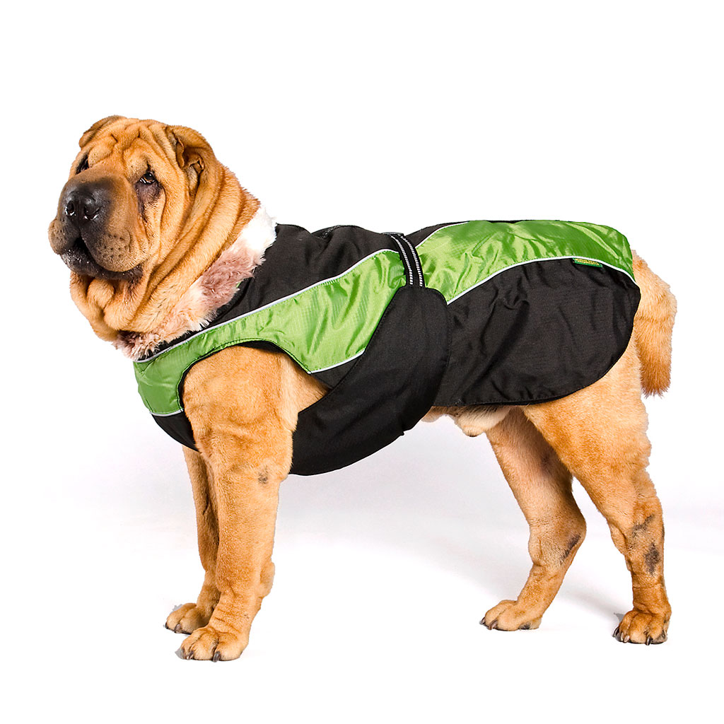 GS soe talvejope koertele - Image 7