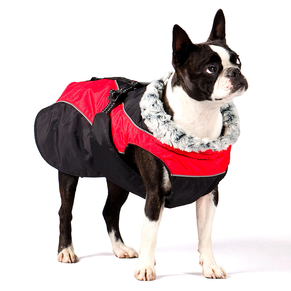 GS soe talvejope koertele - Image 13