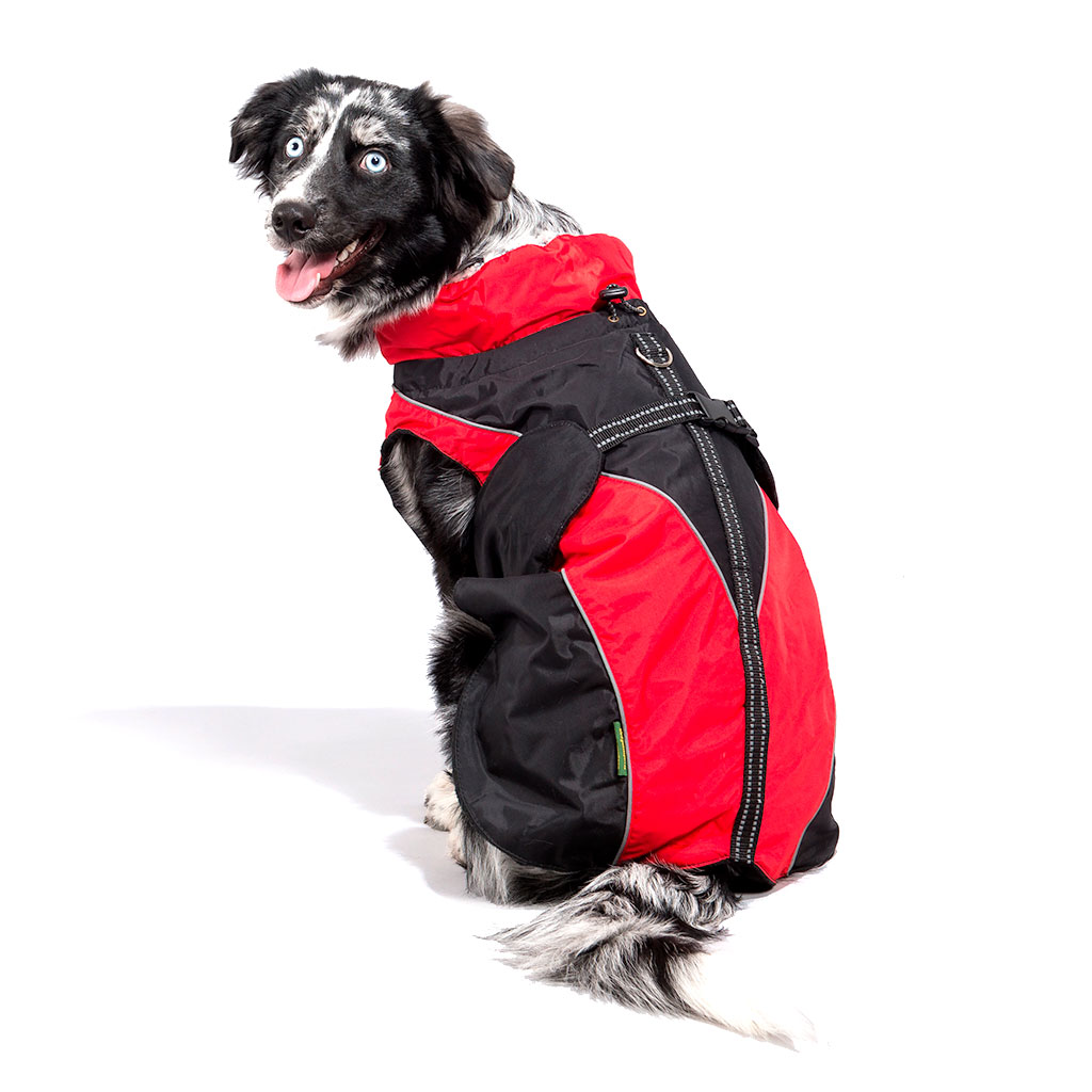 GS soe talvejope koertele - Image 11