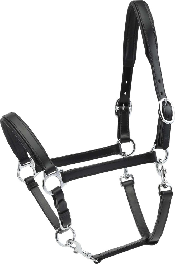 HorseGuard nahast ponipäitsed