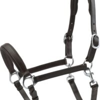 HorseGuard nahast ponipäitsed