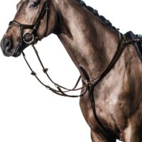 HorseGuard nahast martingal