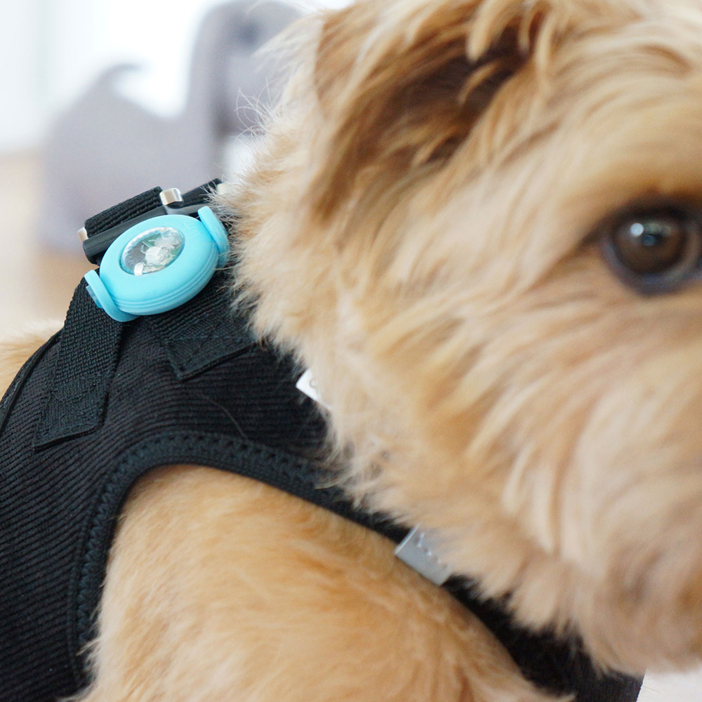 Curli LED tuluke, 2 tk