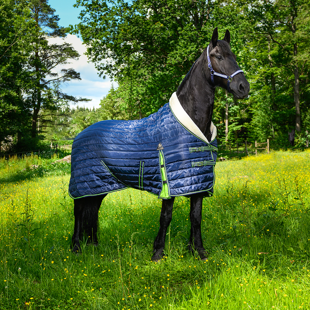 Globus Sport Cozy tallitekk hobusele, 200 g - Image 2