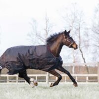 Catago Dual Pro 1680D õuetekk+tallitekk