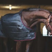 Catago Dual Pro alustekk, 300 gr