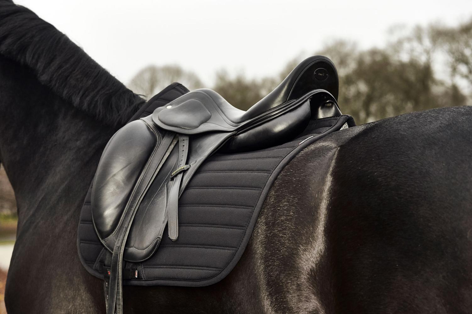 Catago Hybrid valtrap, koolisõidu - Image 7