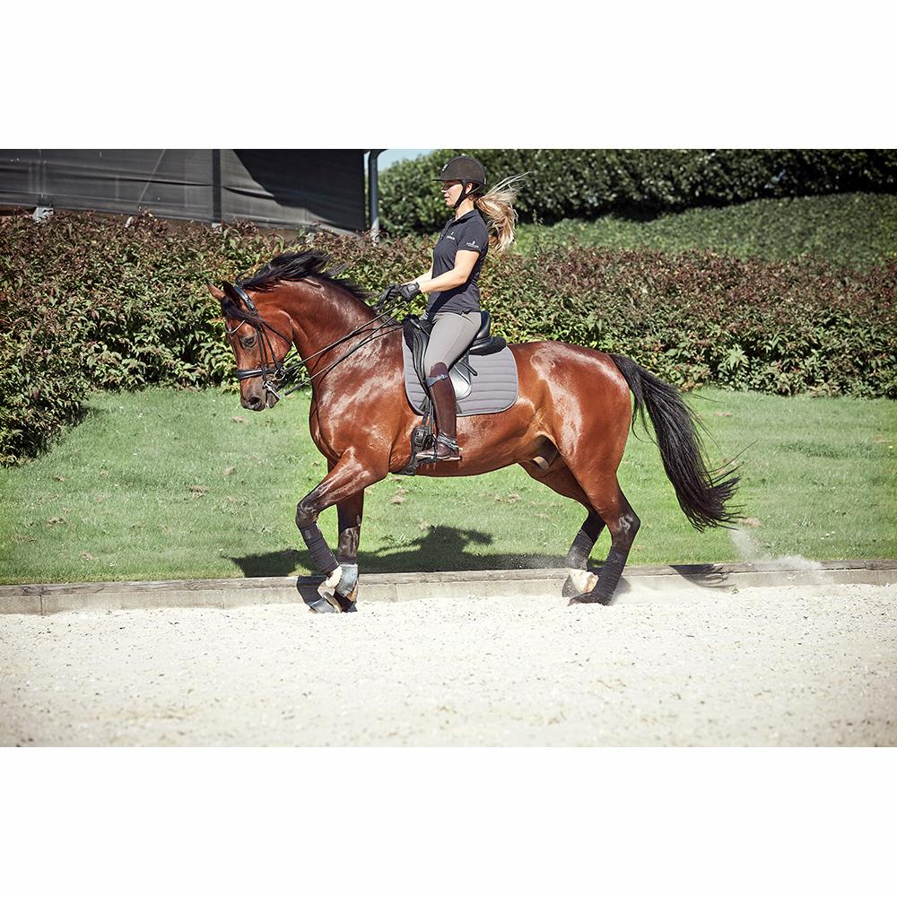 Catago Hybrid valtrap, koolisõidu