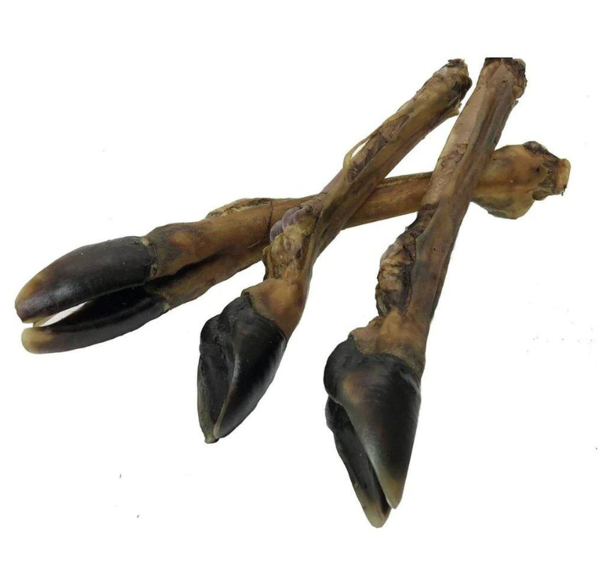 Kuivatatud hirve jalg koertele, väike