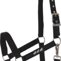 HG päitsed neopreeniga