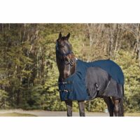 Catago päitsed Hybrid