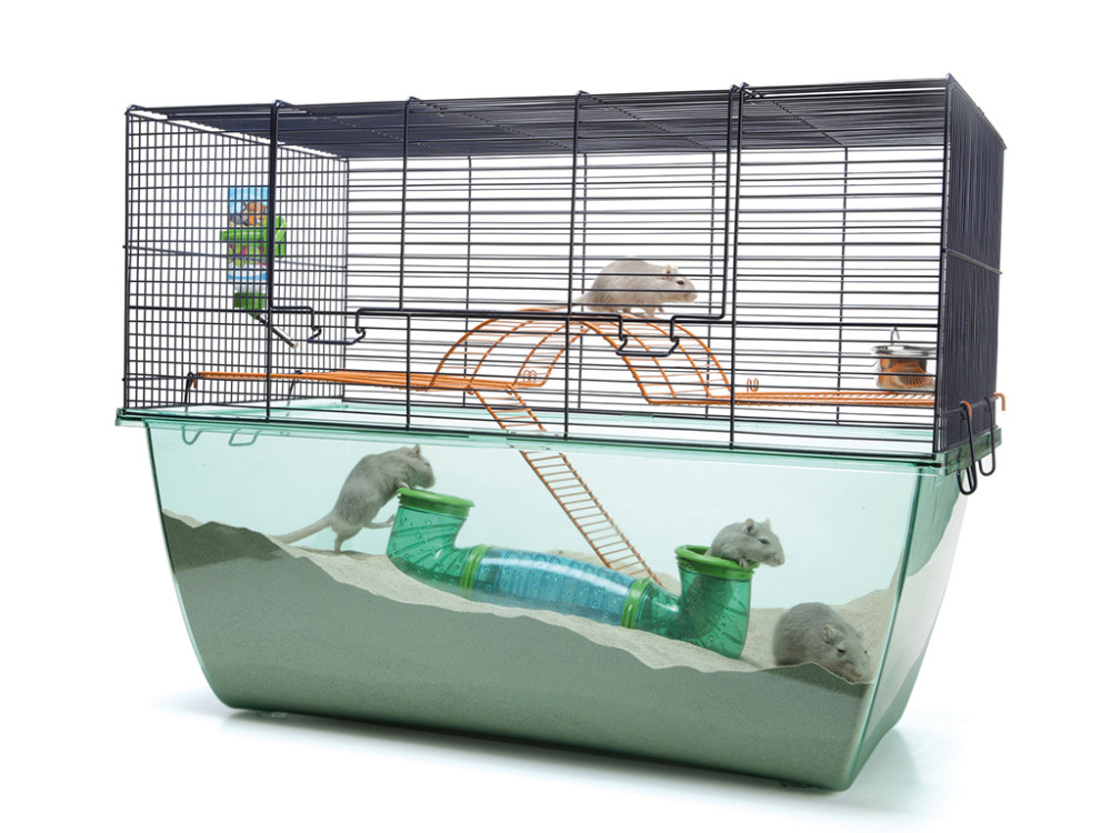 Näriliste puur Habitat XL liivahiirtele