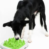 Savic Enigma 20 sööginõu