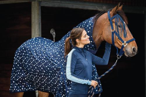 HG päitsed Arin kärbsevõrguga