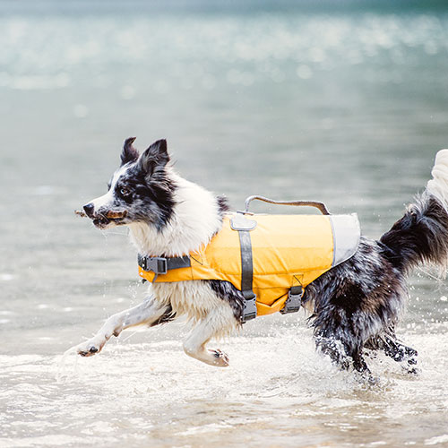 Hurtta Life Savior päästevest