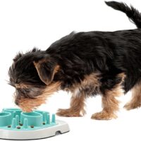 Savic Enigma 11 sööginõu