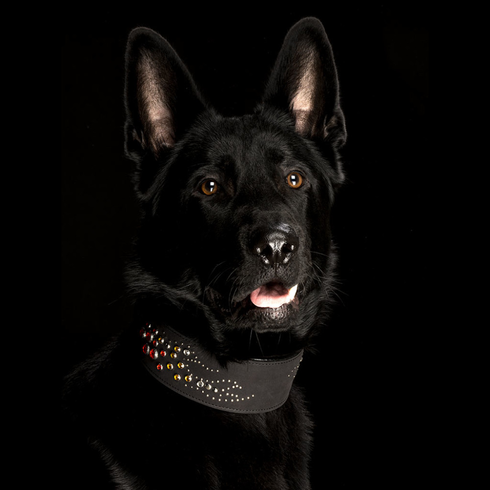 Nahast kaelarihm Bijou