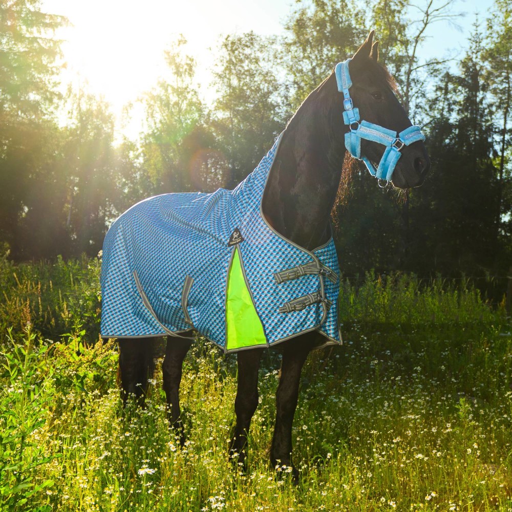 Globus Sport õuetekk Paris-1, 100 gr