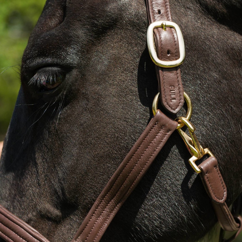 Globus Sport nahast päitsed Brika