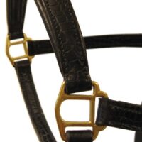 Globus Sport nahast päitsed Croco