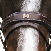 Globus Sport Rosette valjad