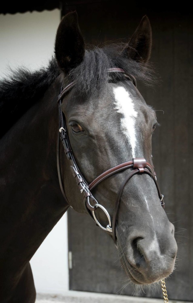 Globus Sport Foxy valjad