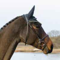 Globus Sport Foxy valjad